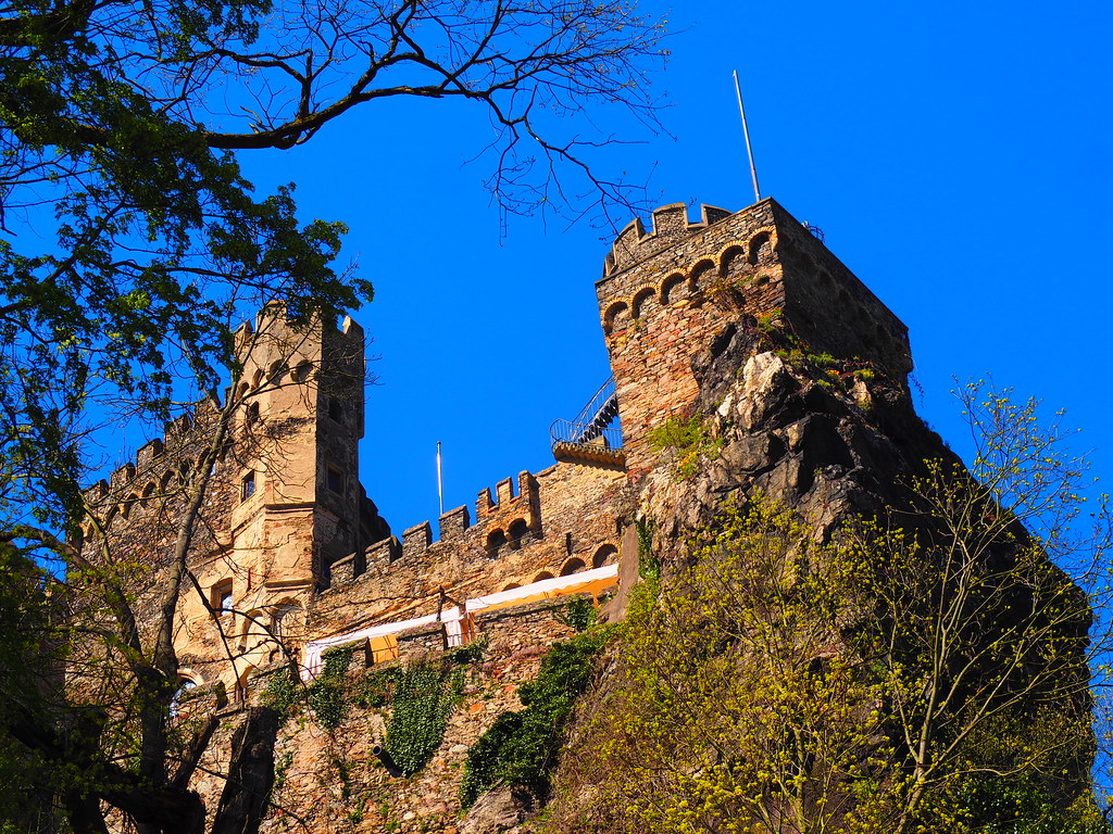 Burg Rheinstein - Wonderful Nature along the River Rhine - from Eltville till Bingen -  in Germany
