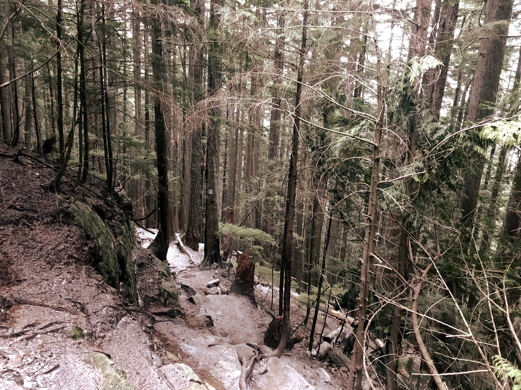 Hike up Grouse Mountain..