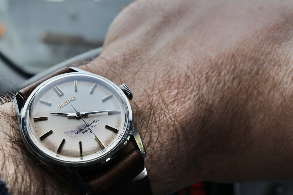 HOMMAGE à ZEN : postez ici votre plus beau bouquet de SEIKO ! - Page 2 49730122786_4f65c8ef5f_b