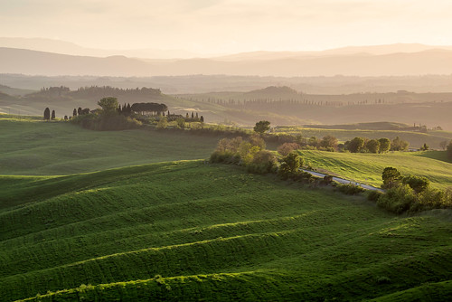 tuscany danielbosma italy toscana toscane landscape light sunlight sunset spring lush green fresh siena