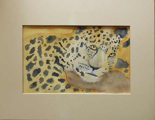 LOCKDOWN - 3 Leopard | by Patrick (1945)