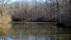 Carpenter Lake