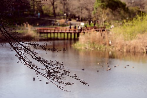 park nature landscape izuminomori 泉の森 water lake