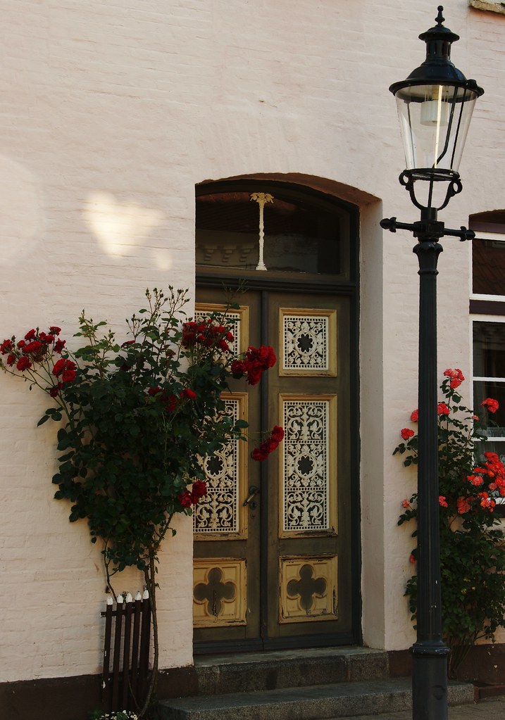 Beautiful roses and beautiful door in Friedrichstadt - Schleswig - Germany