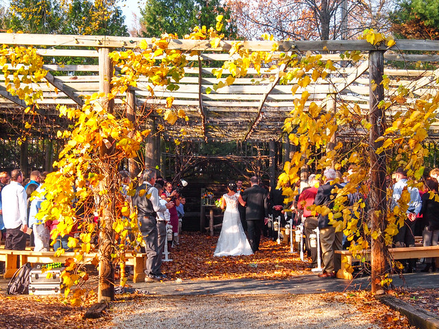 Colleen & Travis at The Gardens of Castle Rock ~ Beautiful Wedding Fall Colors