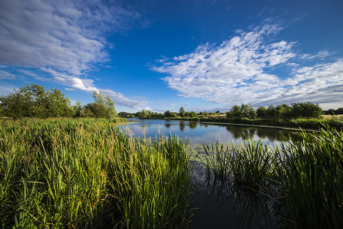 canon6d nature outdoors landscape outside grasses trees sky blue clouds lake water reflections uk cambridgeshire