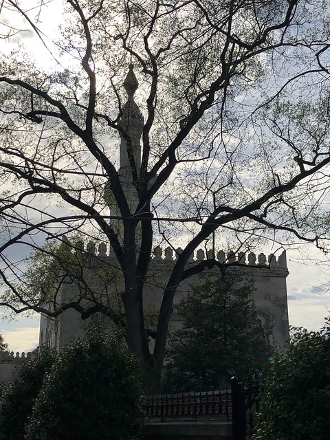 Minaret of Washington Islamic Center and tree, silhouette, Washington, D.C.