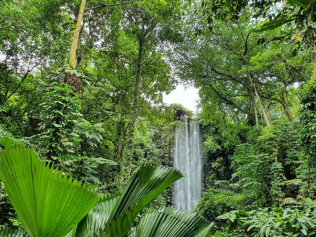 The waterfall aviary in Jurong Bird Park, Singapore