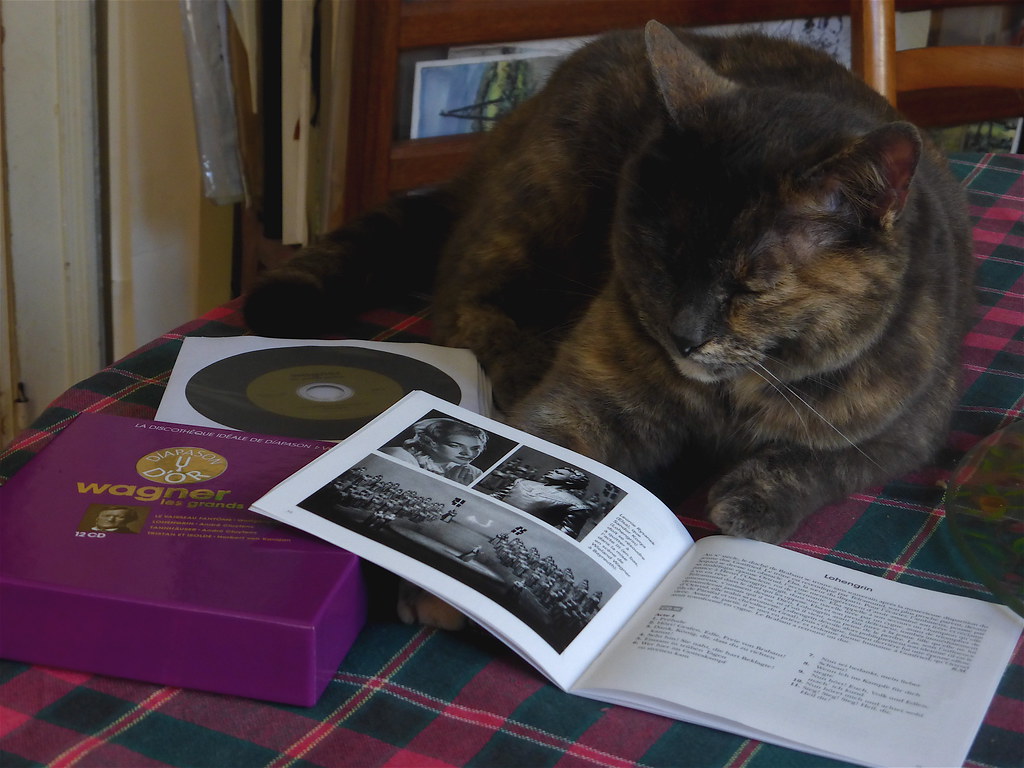 Nouche, Mother in law cat's,  discover and listen Wagner.