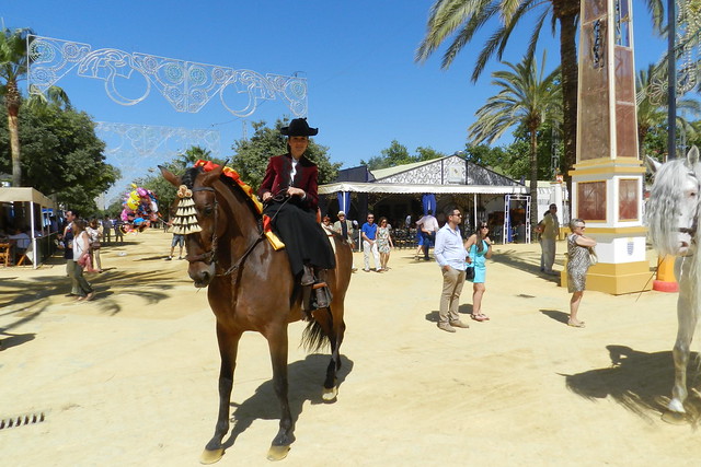 paseo desfile caballo castaño y jinete Parque González Hontoria Feria del Caballo 2014 Jerez de la Frontera Cadiz 02