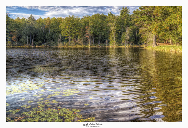Batcheldor Pond, Wilton, NH USA