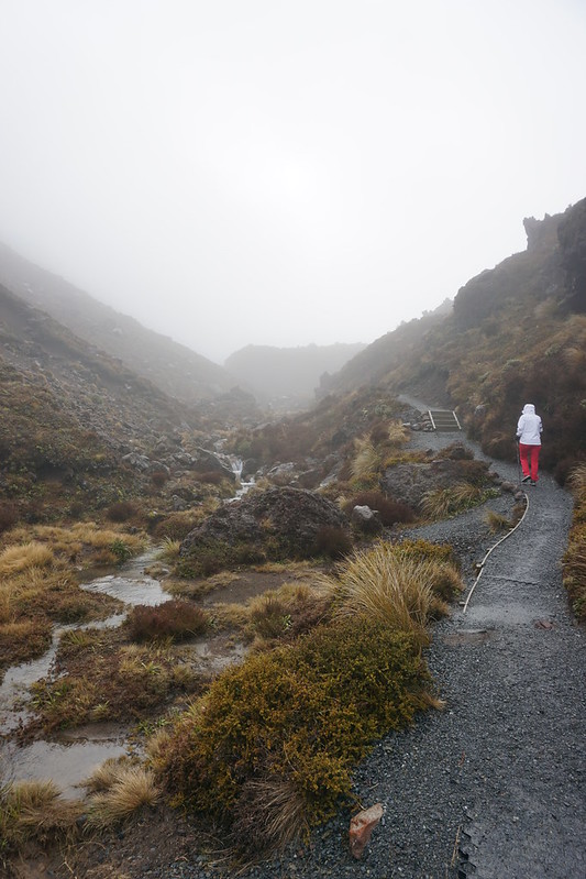 Tongariro Alpine Crossing (TAC) - Kia Ora, NUEVA ZELANDA (9)