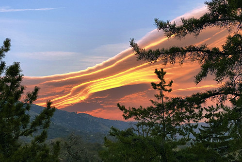 altocumulus lenticularis bear valley springs trees clouds sunset lenticular shotonaniphone iphone11pro