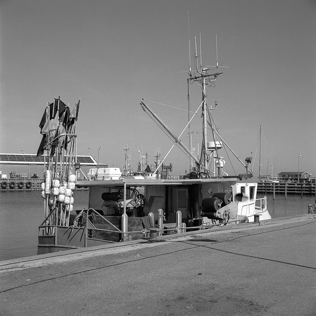 Gilleleje Havn - en aktiv fiskerihavn