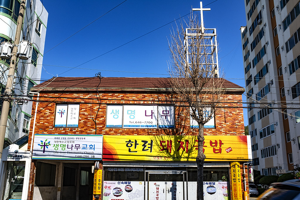 Life-tree Community Church--Tongyeong