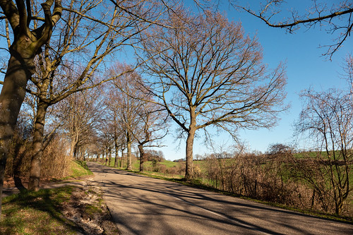 zuidlimburg thenetherlands leicadlux6 leica dlux6 tree sky elkenrade hillside road landscape
