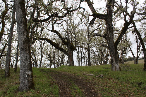 north bank habitat management area glide roseburg wilbur oregon douglas county hiking umpqua river oak savanna clouds landscape view