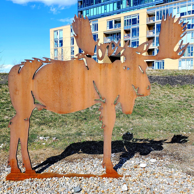 Rusty moose 2D sculpture, with its shadow