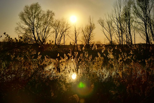 sunset goldenhour altmühlsee vogelinsel ornbau mittelfranken franken silhouettes trees evening spring pond lake