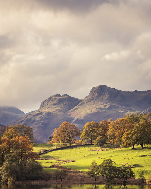 A View of the Langdales -  (In Explore)