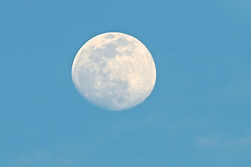 vestal newyork moon waxing gibbous luna spring evening