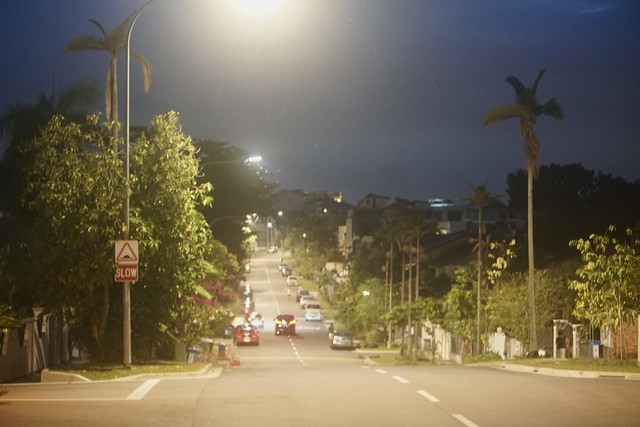 Twilight at Saraca Road, Seletar Hills Singapore 7 April 2020.  Sony A6500/Canon EF-S 55-250mm f 4/5.6 IS II.
