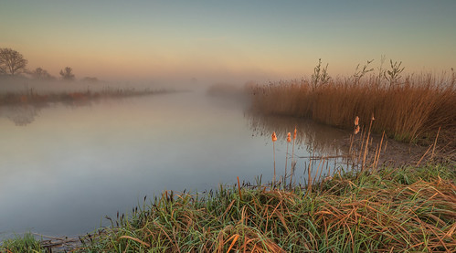 fog sunrise landscape landschappen everdingen thenetherlands ngc mist