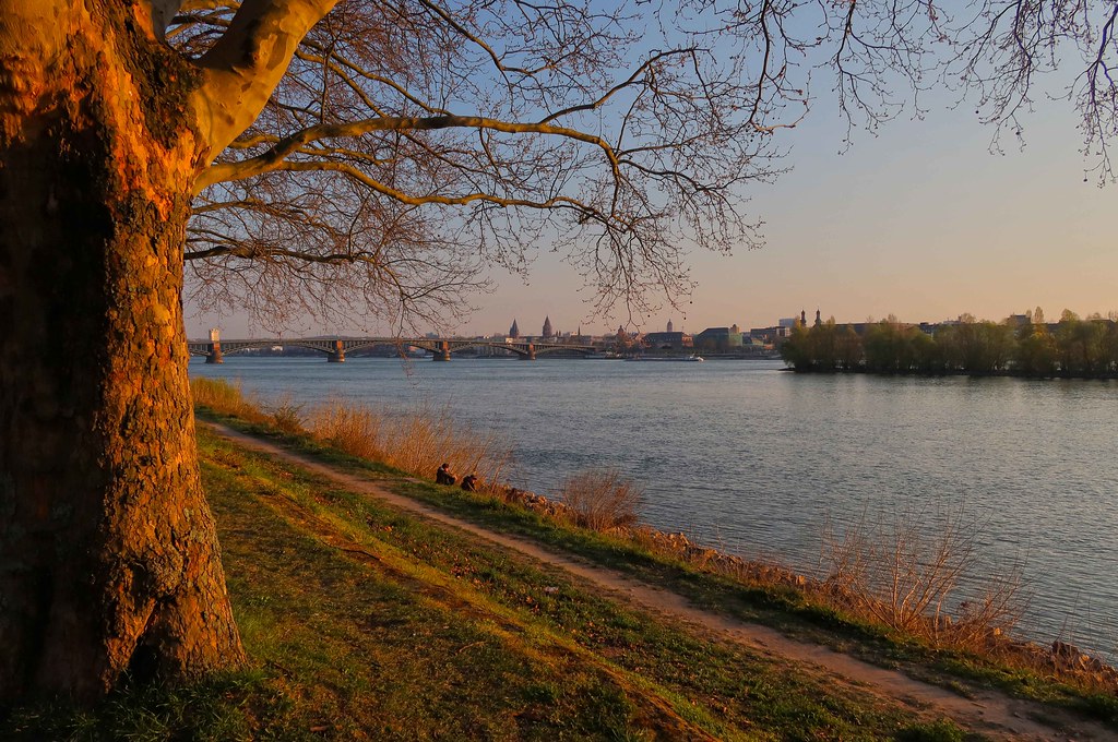 Spring evening at Rhine