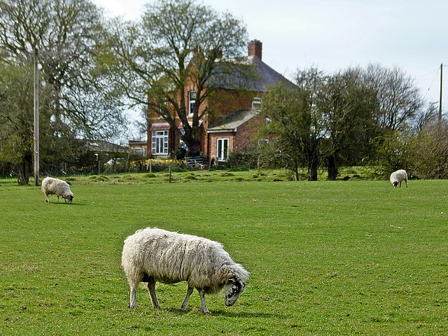 Wolfhampcote-The Old Vicarage