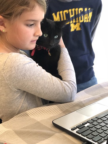 google meet with her cat