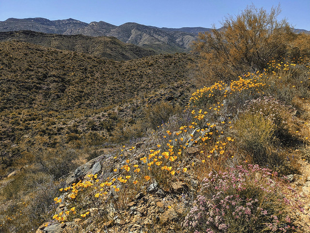 The Bradshaw Mountains Arizona USA and 4K video