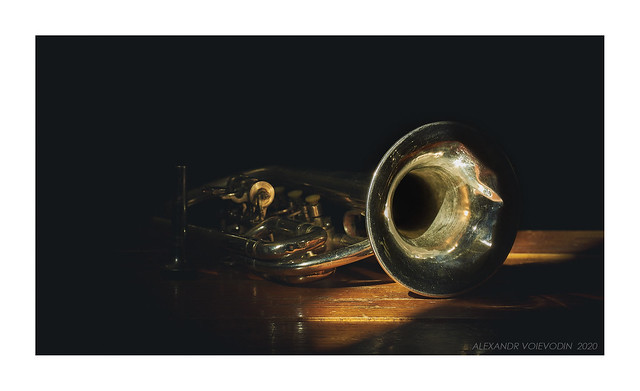 Still life with an old trumpet