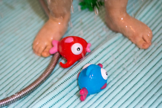 Close-up of colorful fish bathing toys. Toddler taking a shower