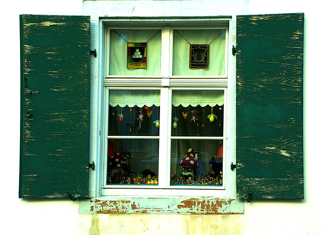 Collector's Window