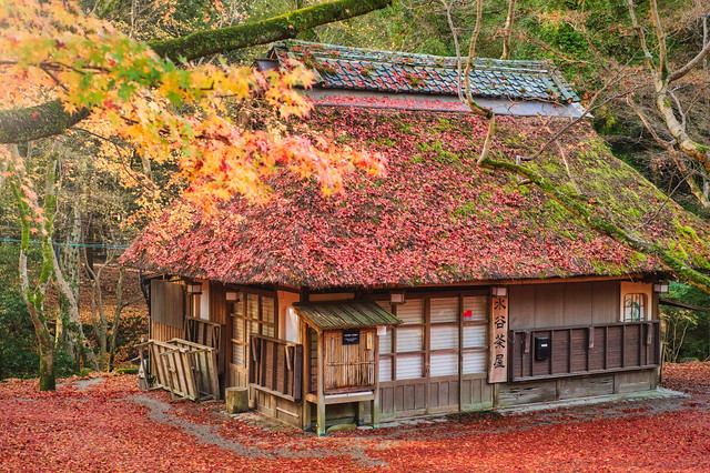奈良公園の水谷茶屋
