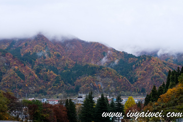 japan autumn 2019 (13)