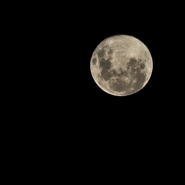 100/366 The Full moon from OZ