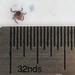 Tick from April 7, 2020