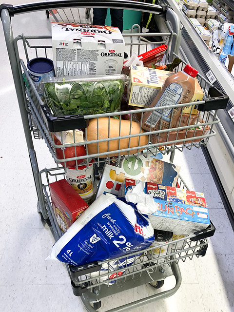 Getting Groceries: Staying Alive & Sane During the Pandemic