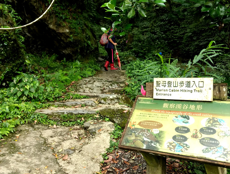 Marian Cabin Hiking Trail 聖母山莊步道 in Ilan is very popular in Taiwan