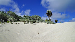 The warm sands at Playa las Coloradas