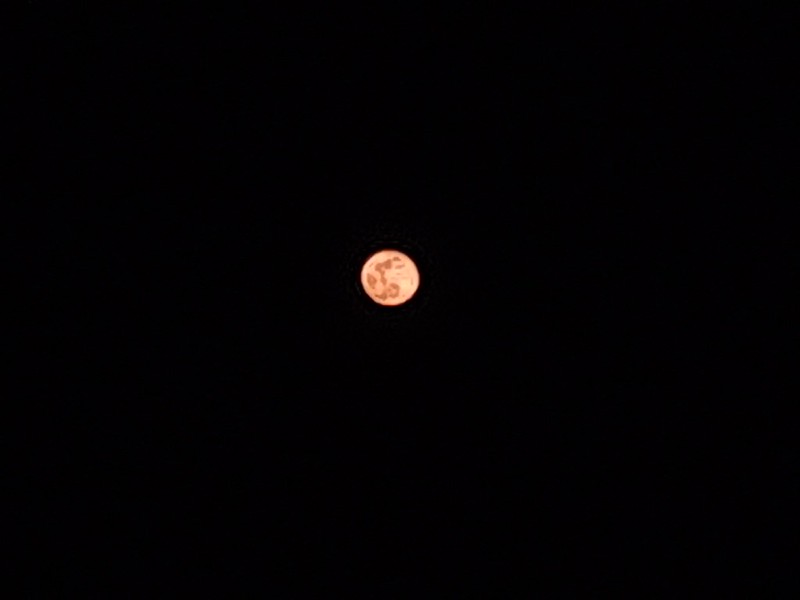 49750939552_e44d9636d7_c.jpg