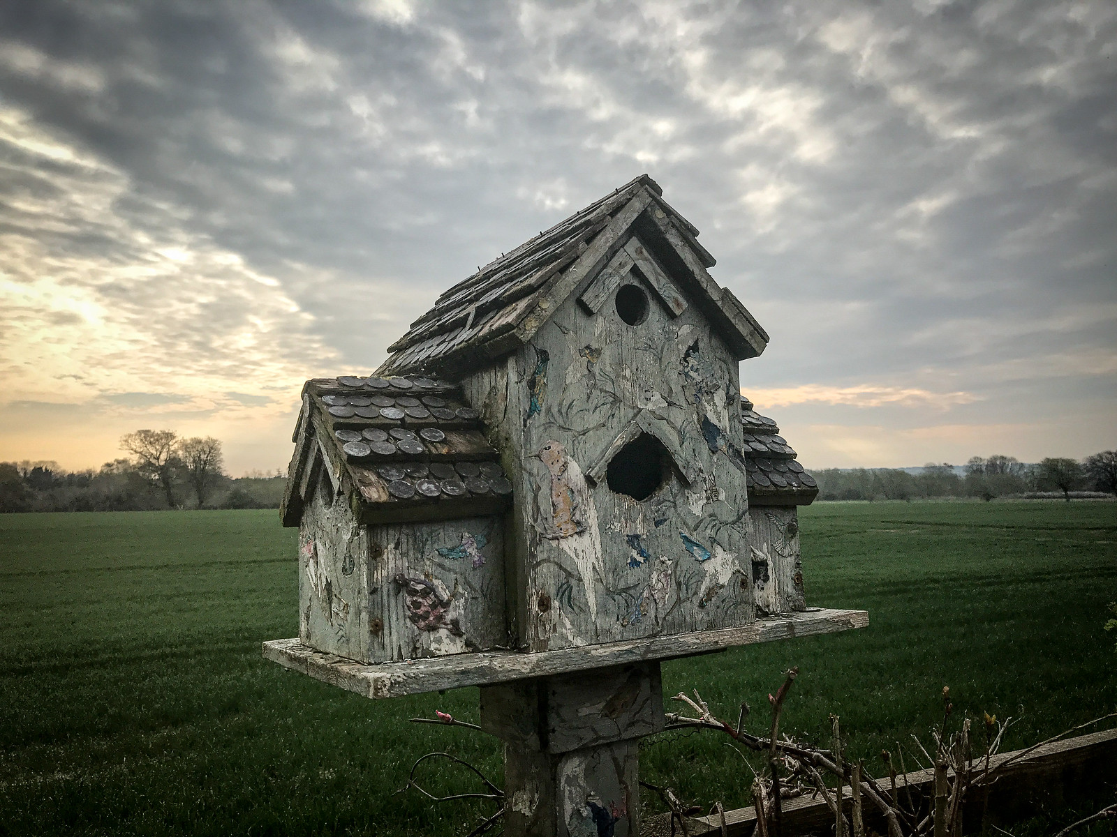 The bird house