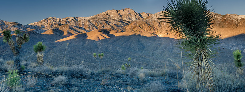 Inyo Mountain Wilderness