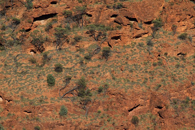Near Palm Valley, Northern Territory