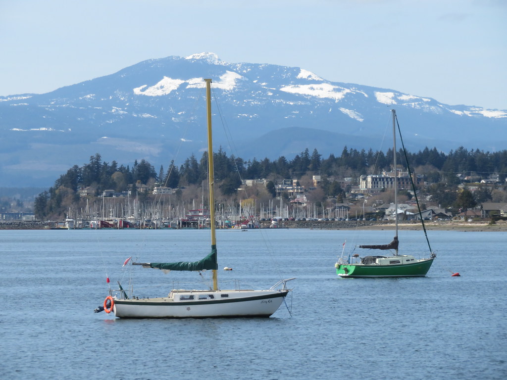 A view of Comox harbour and beyond.