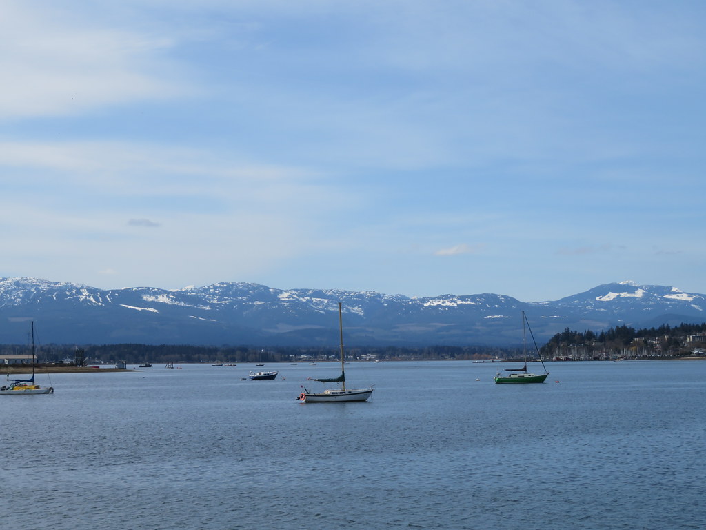 A view of Comox harbour and beyond.