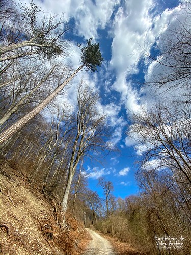 hike hiking elmmountainrange mountains germany landscape nature trees forest woodland outdoors recreation spring season fairweather sky clouds color sunny ecosystem growth tall standing