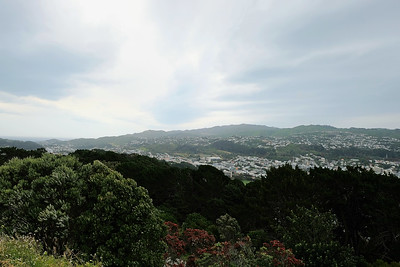 12-109 Mount Victoria Wellington uitzichtpunt