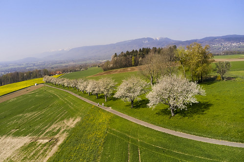 grangegrèche 2020 xavierpintado landscape spring nature cantondevaud switzerland begnins aerial djimavic2pro explore